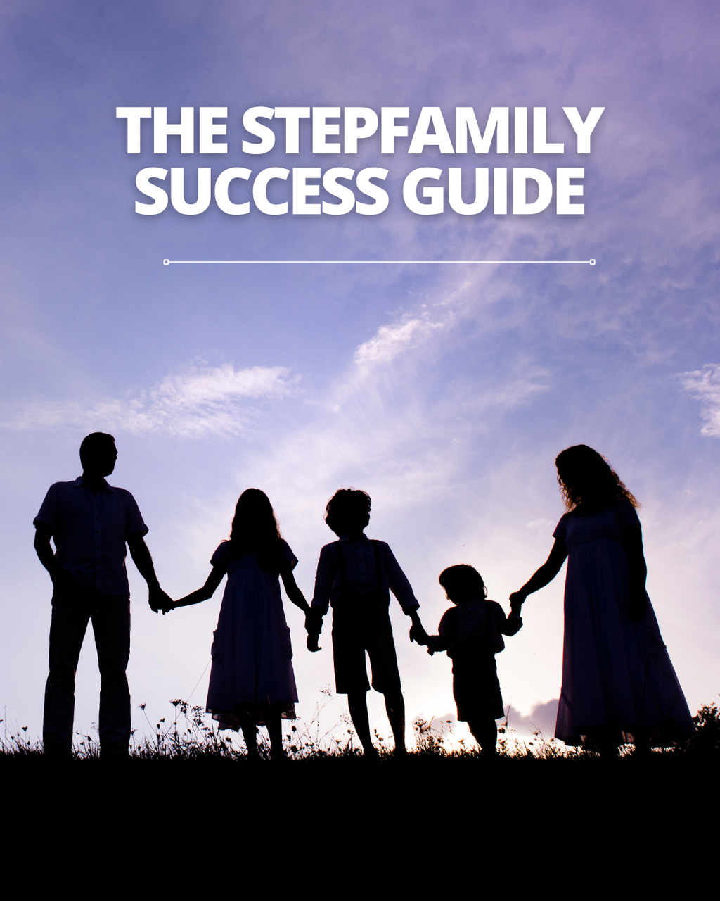 The Stepfamily Success Guide