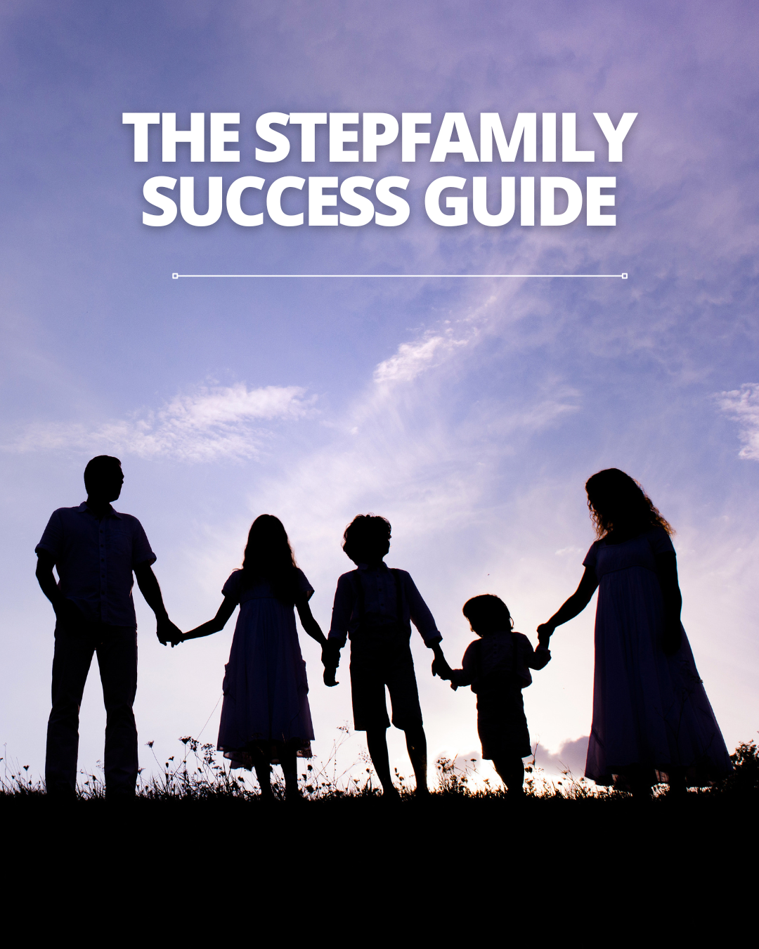 The Stepfamily Success Guide